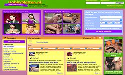 zorgt sinds 1995 voor online sexdating