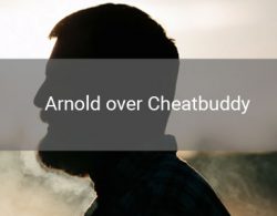 arnold die anoniem vertelt over zijn ervaring met cheatbuddy